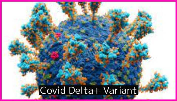 Covid Delta+ Variant