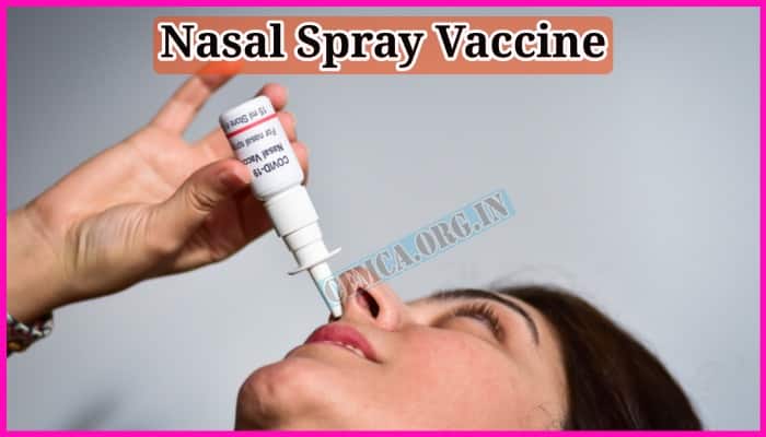 Nasal Spray Vaccine