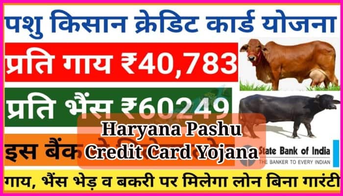 Haryana Pashu Credit Card Yojana 2023