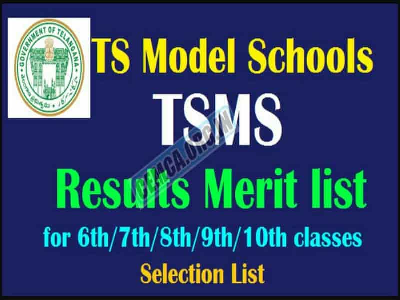 TSMS Results