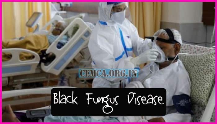 Black Fungus Disease
