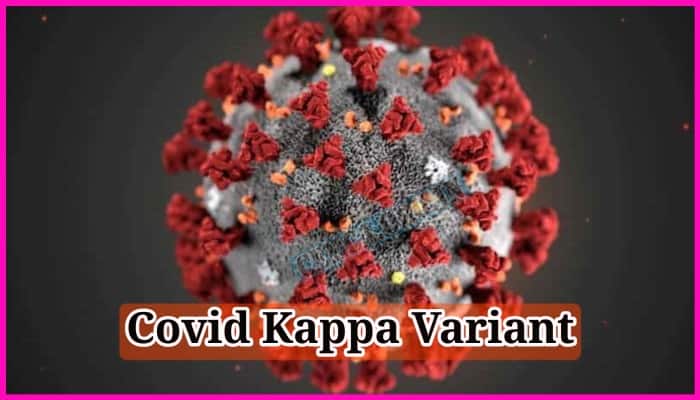 Covid Kappa Variant