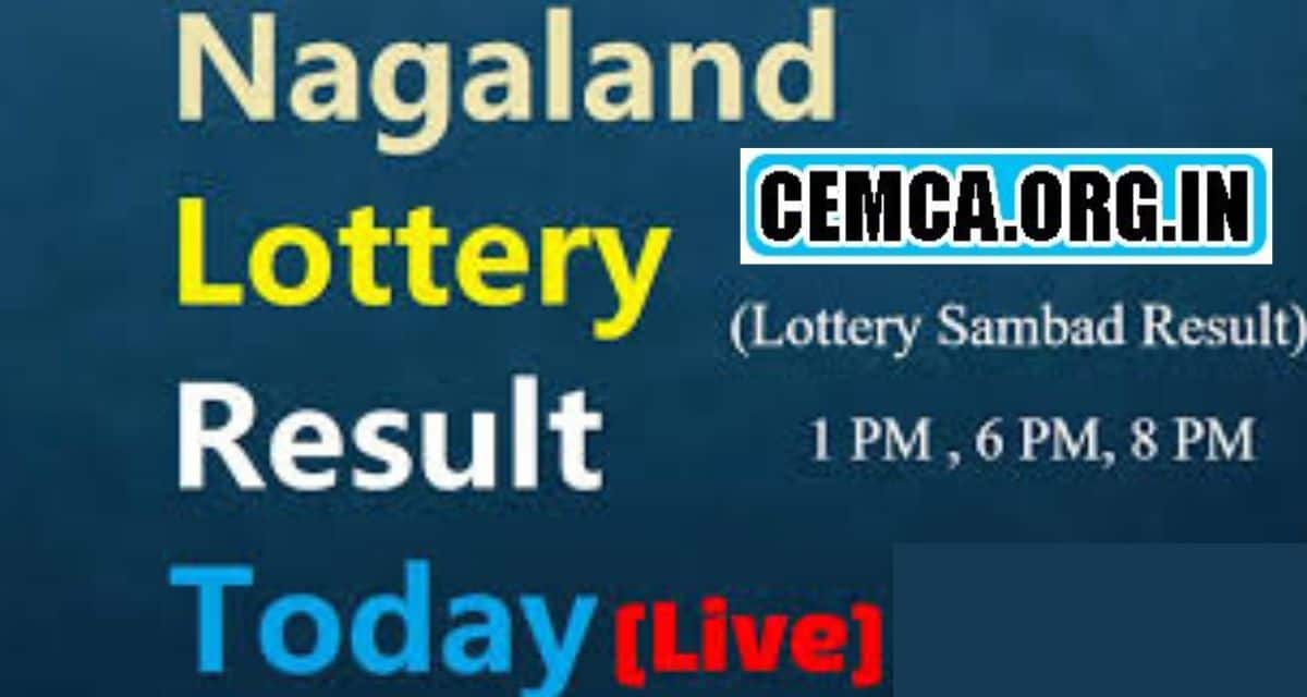 Nagaland Lottery Result 2022
