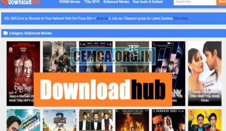 DownloadHub 2024 Dual Audio 300 MB Bollywood, Tamil, Telugu Movie