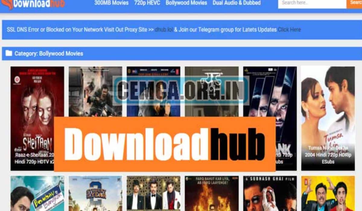 DownloadHub 2024 Dual Audio 300 MB Bollywood, Tamil, Telugu Movie Download