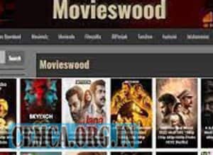 Movieswood 2025 Hindi Hollywood Tamil Telugu HD Movies Webseries Download