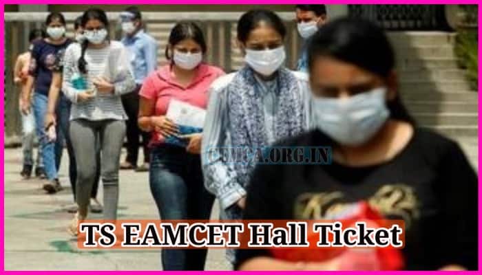 TS EAMCET Hall Ticket 2024