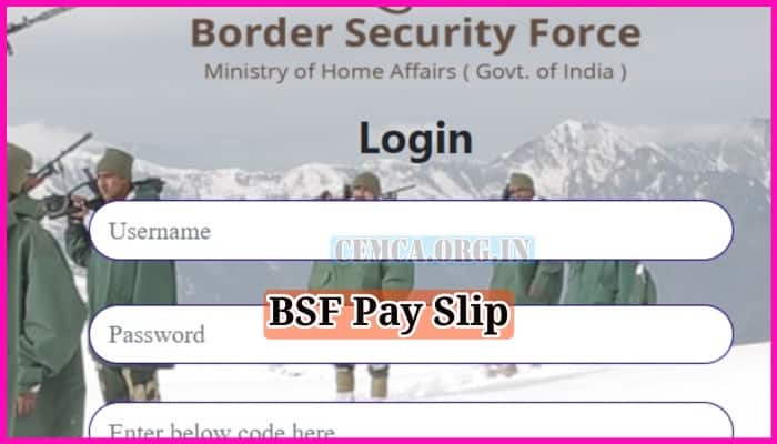 BSF Pay Slip 2023