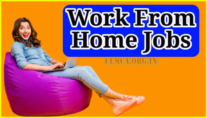 Work From Home Jobs