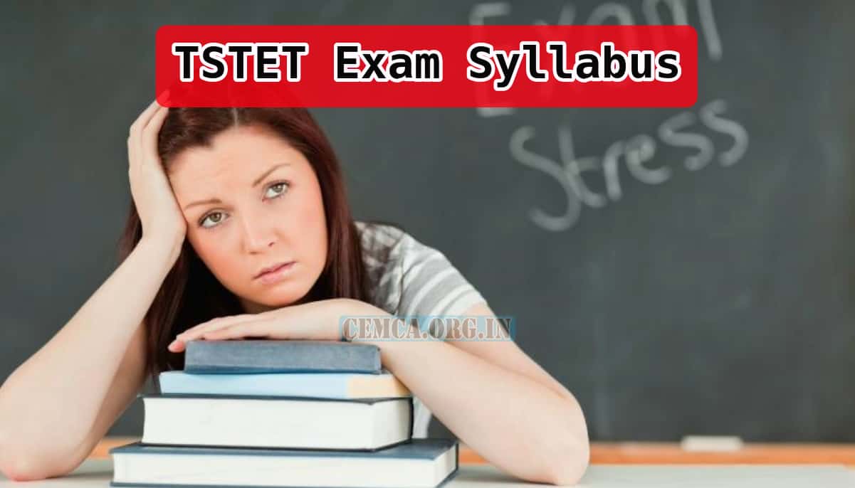 TSTET Exam Syllabus