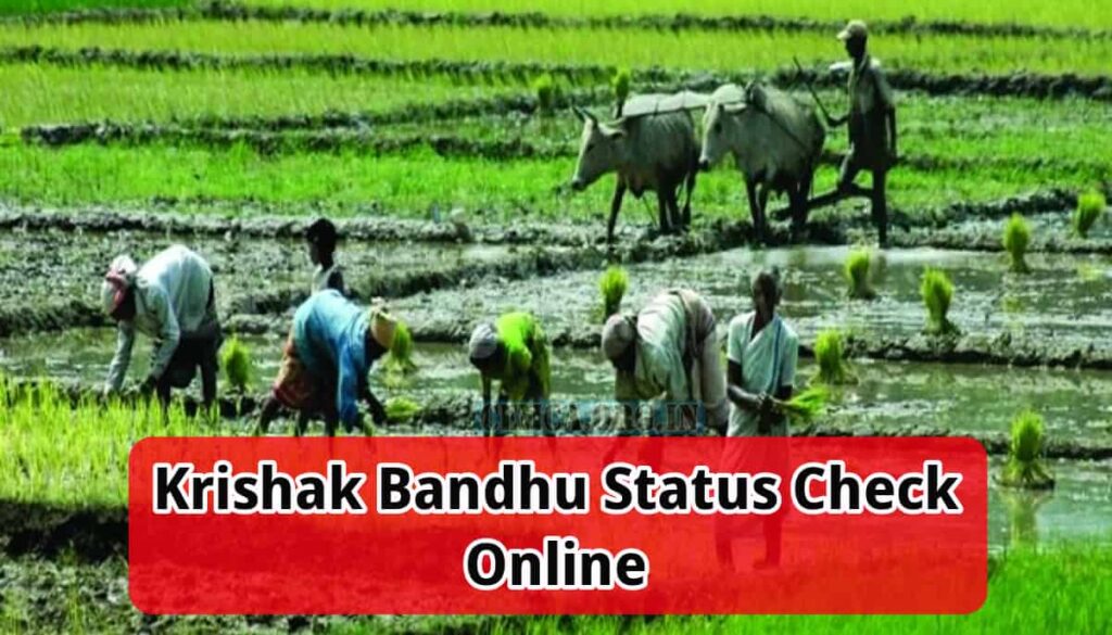 Krishak Bandhu Status Check Online