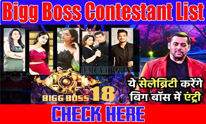 Bigg Boss 18 Contestant List
