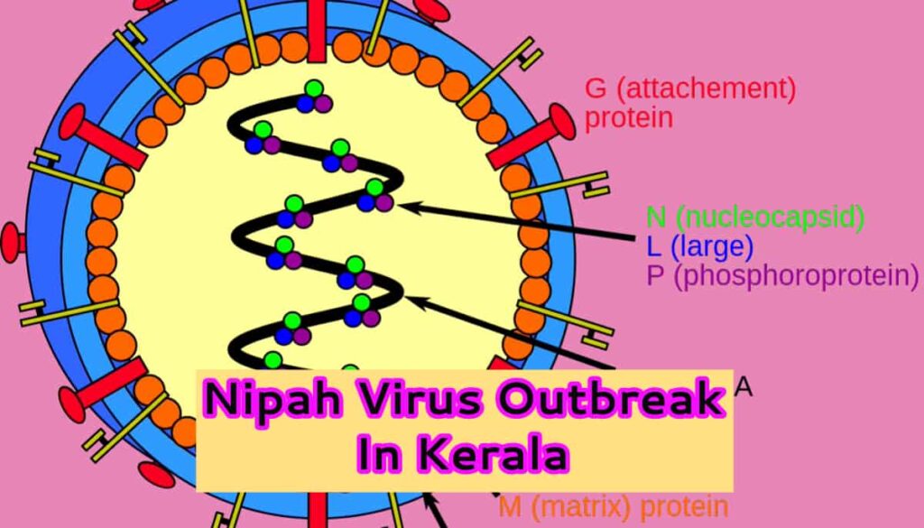 Nipah Virus Outbreak In Kerala