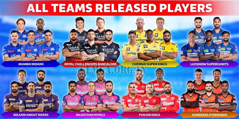IPL Players List