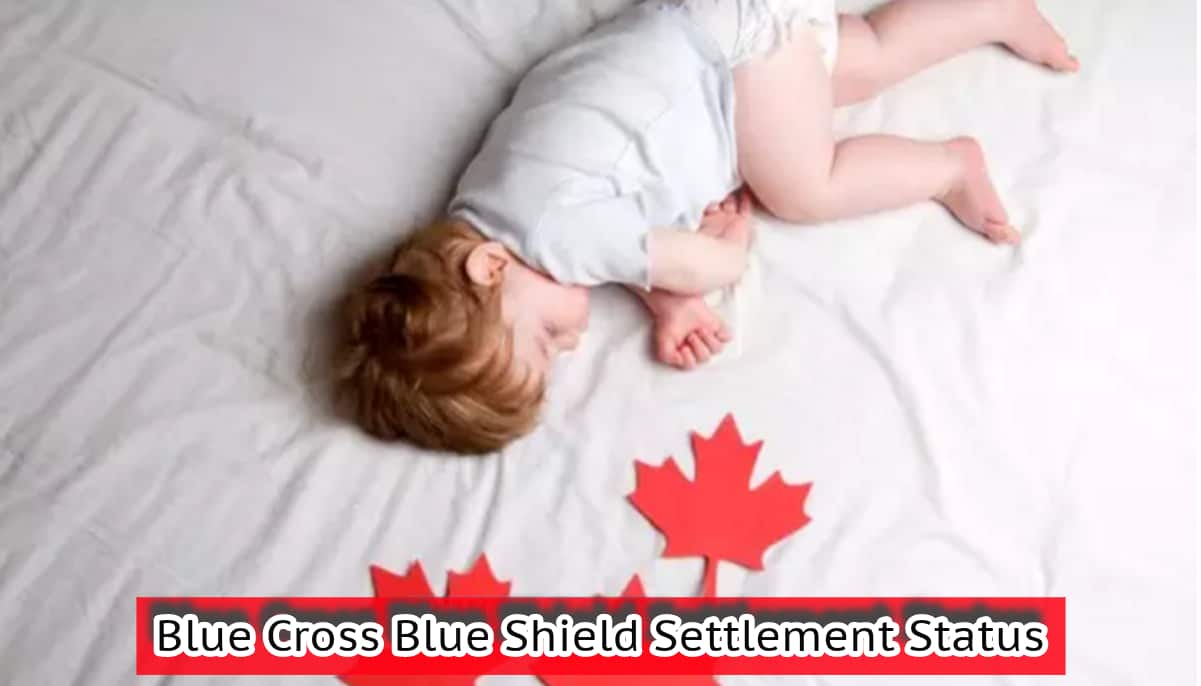 CCB Payment Raise 2025, New Canada Child Benefit Amount, Eligibility ...