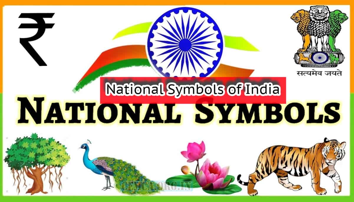 National Symbols Of India With Names, Full List