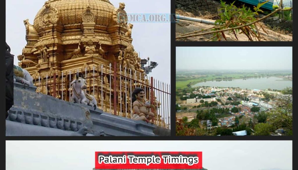 Palani Temple Timings
